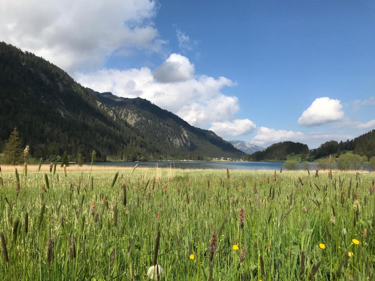 Das Haldensee Nesselwängle المظهر الخارجي الصورة